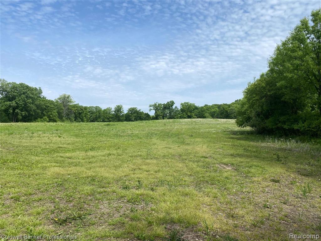 Vl Holtforth Road, Unit 11 Fenton, MI 48430 - Photo 1 of 2