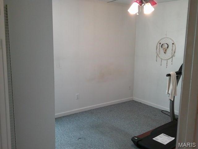 13670 Mammoth Road De Soto, MO 63020 - Photo 21 of 54