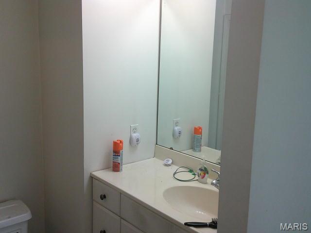 13670 Mammoth Road De Soto, MO 63020 - Photo 22 of 54