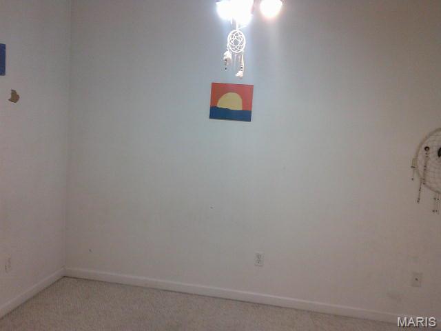 13670 Mammoth Road De Soto, MO 63020 - Photo 26 of 54