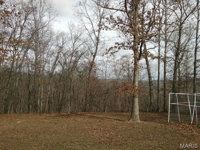 13670 Mammoth Road De Soto, MO 63020 - Photo 47 of 54