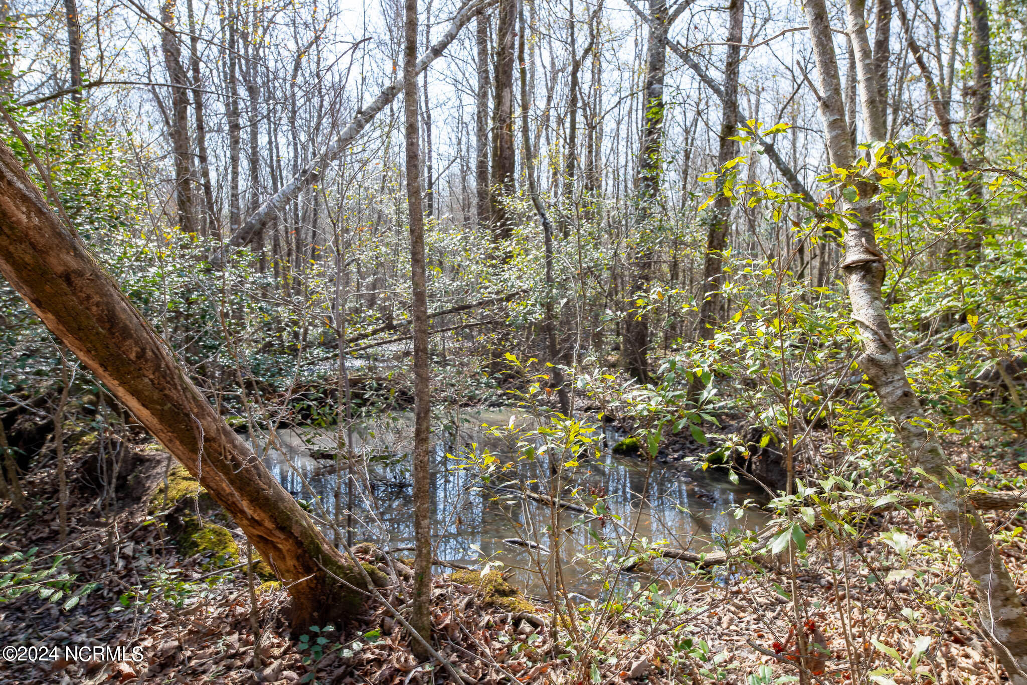 0 Andermora Road Maple Hill, NC 28454 - Photo 21 of 27 A-20