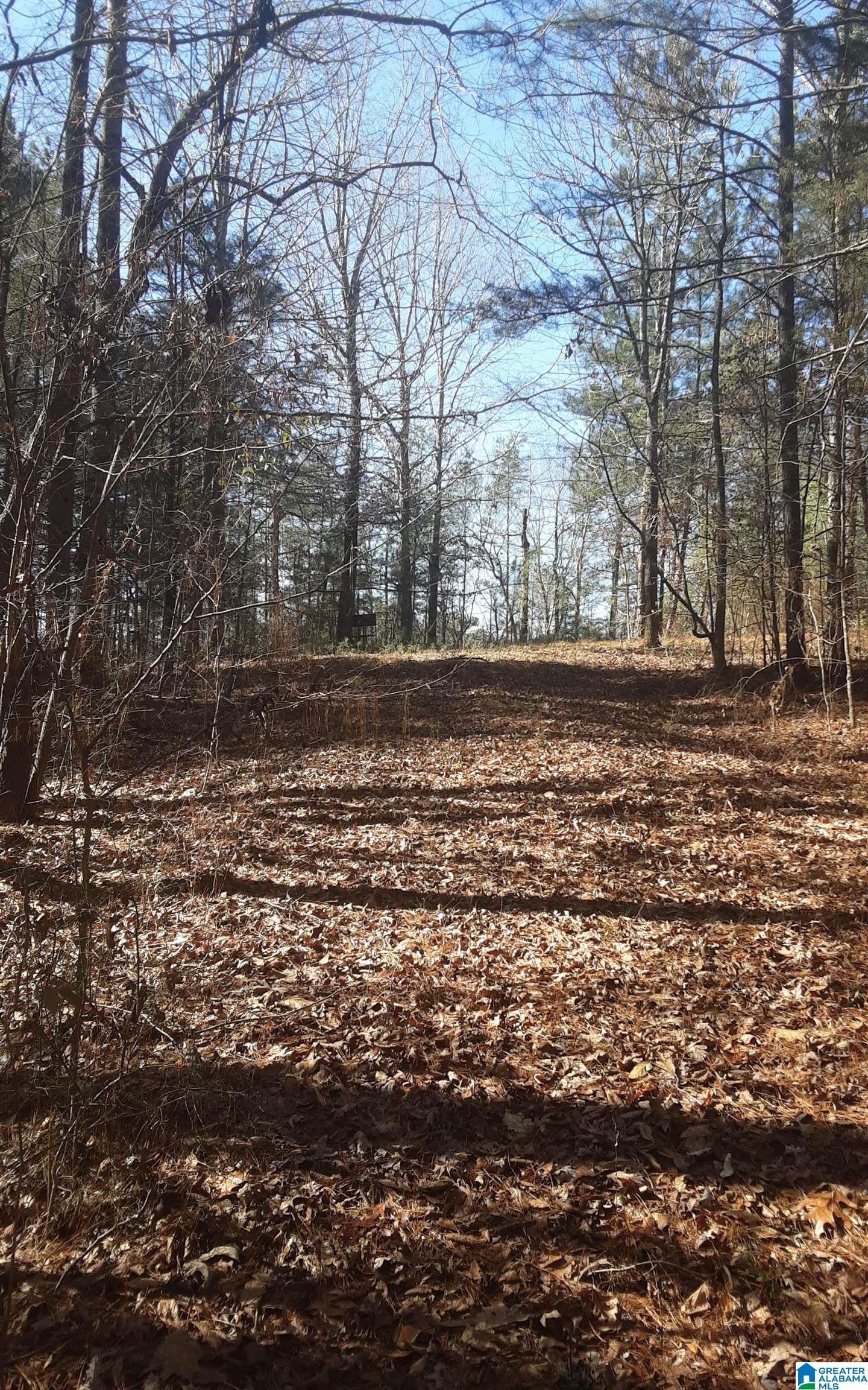 5385 Littleton Kilgore Road Dora, AL 35062 - Photo 16 of 27