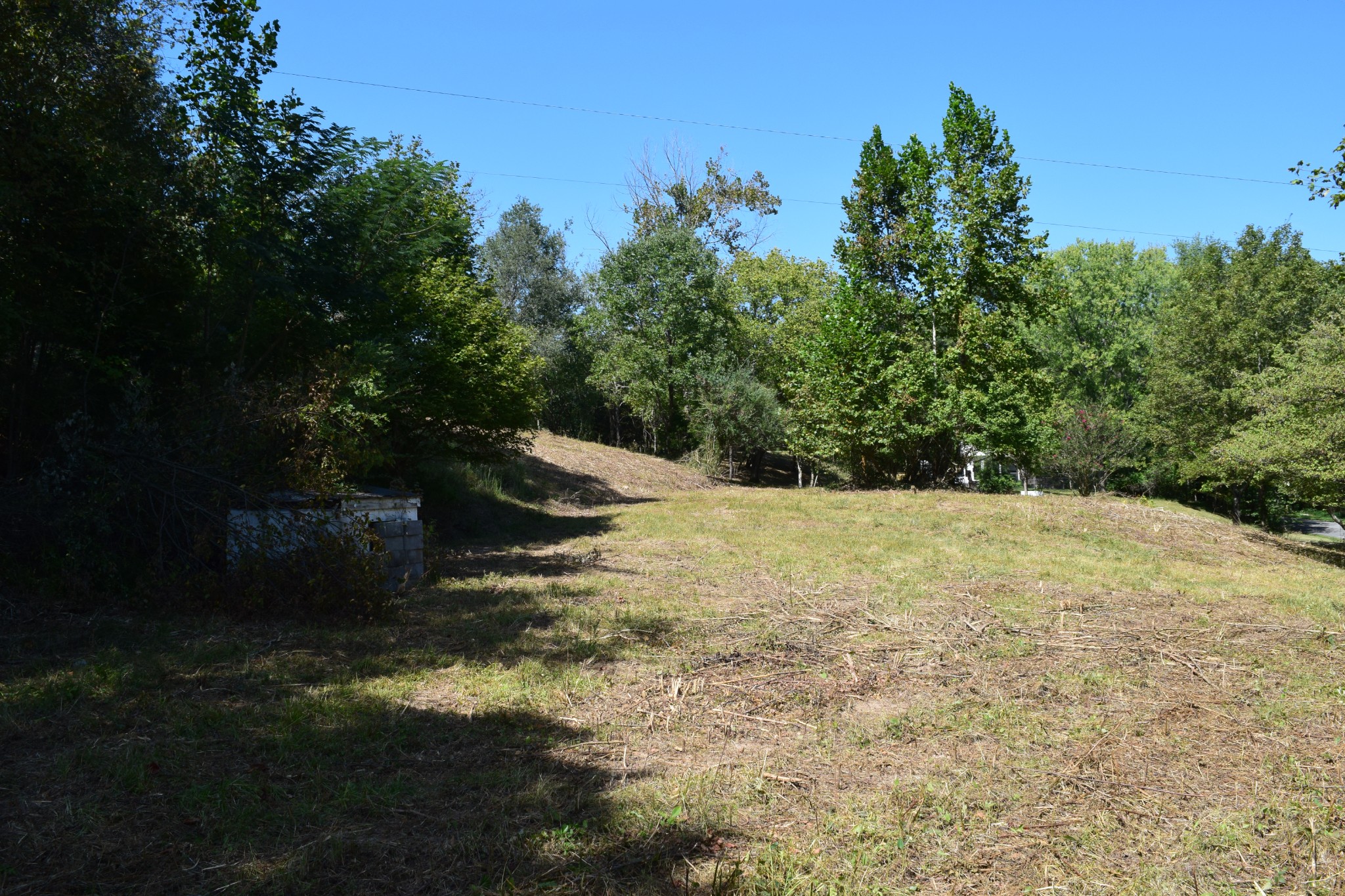 842 Cowan Road Dickson, TN 37055 - Photo 5 of 8 Gallery Image 5