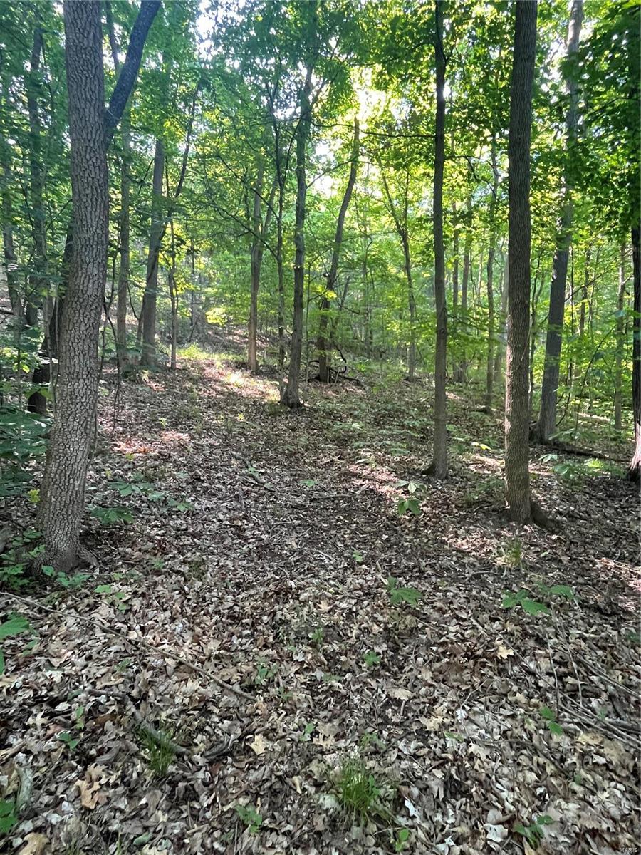 5902 Horneker Road, Pacific, MO 63069 Compass