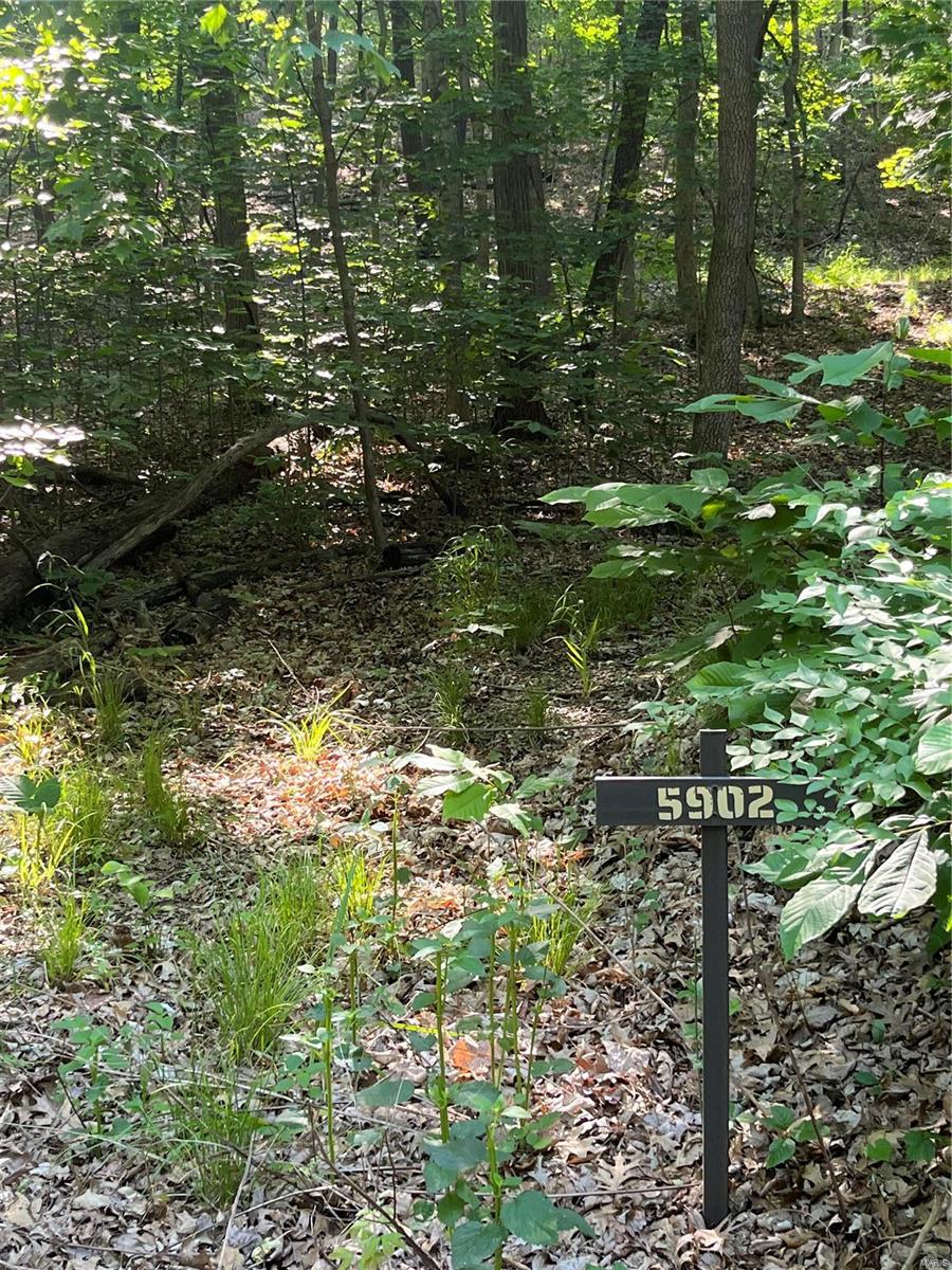 5902 Horneker Road Pacific, MO 63069 - Photo 8 of 10