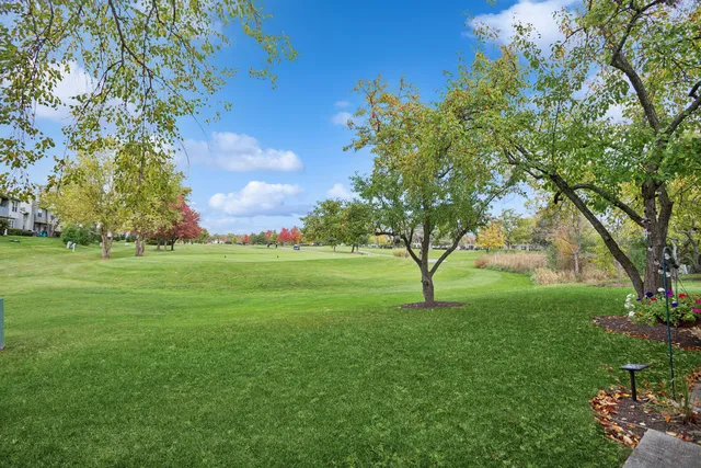 a view of grassy field with benches