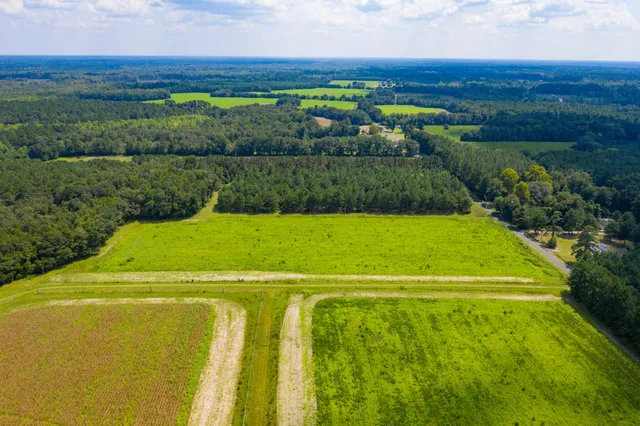 $100,000 | 0 Adnah Church Road, Islandton, SC 29929