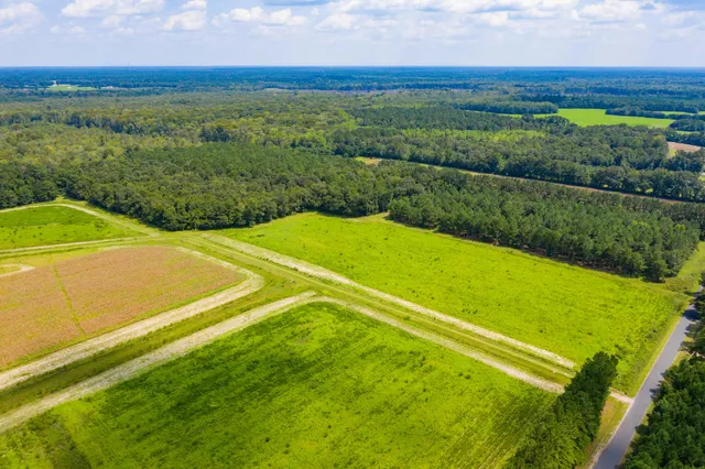 $100,000 | 0 Adnah Church Road, Islandton, SC 29929