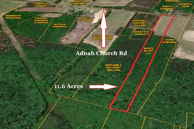 $100,000 | 0 Adnah Church Road, Islandton, SC 29929