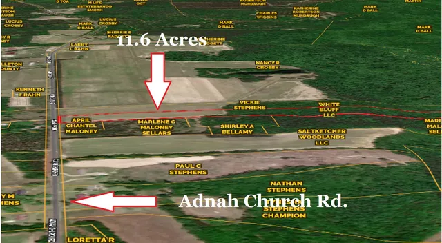 $100,000 | 0 Adnah Church Road, Islandton, SC 29929