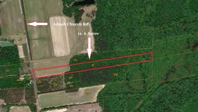 $100,000 | 0 Adnah Church Road, Islandton, SC 29929
