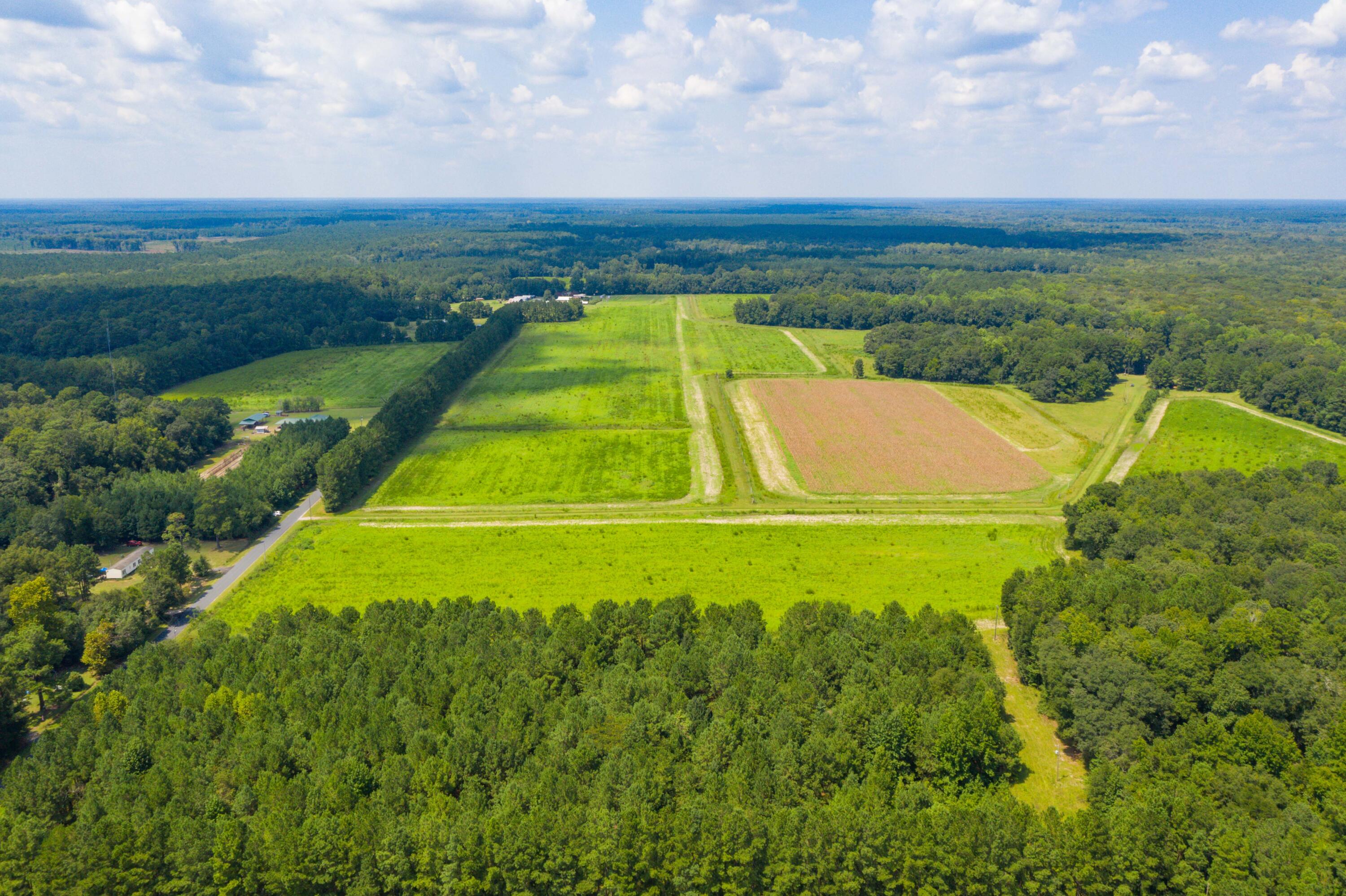 0 Adnah Church Road Islandton, SC 29929 - Photo 3 of 17 DJI_0780