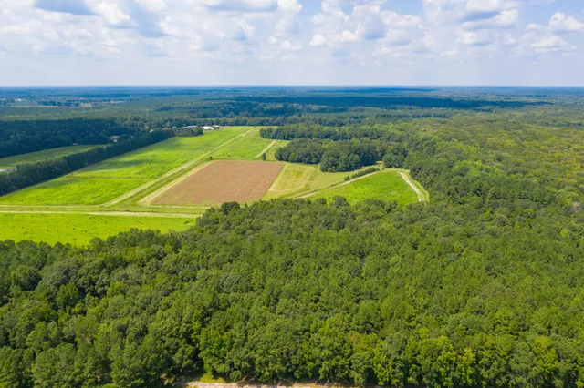 $100,000 | 0 Adnah Church Road, Islandton, SC 29929