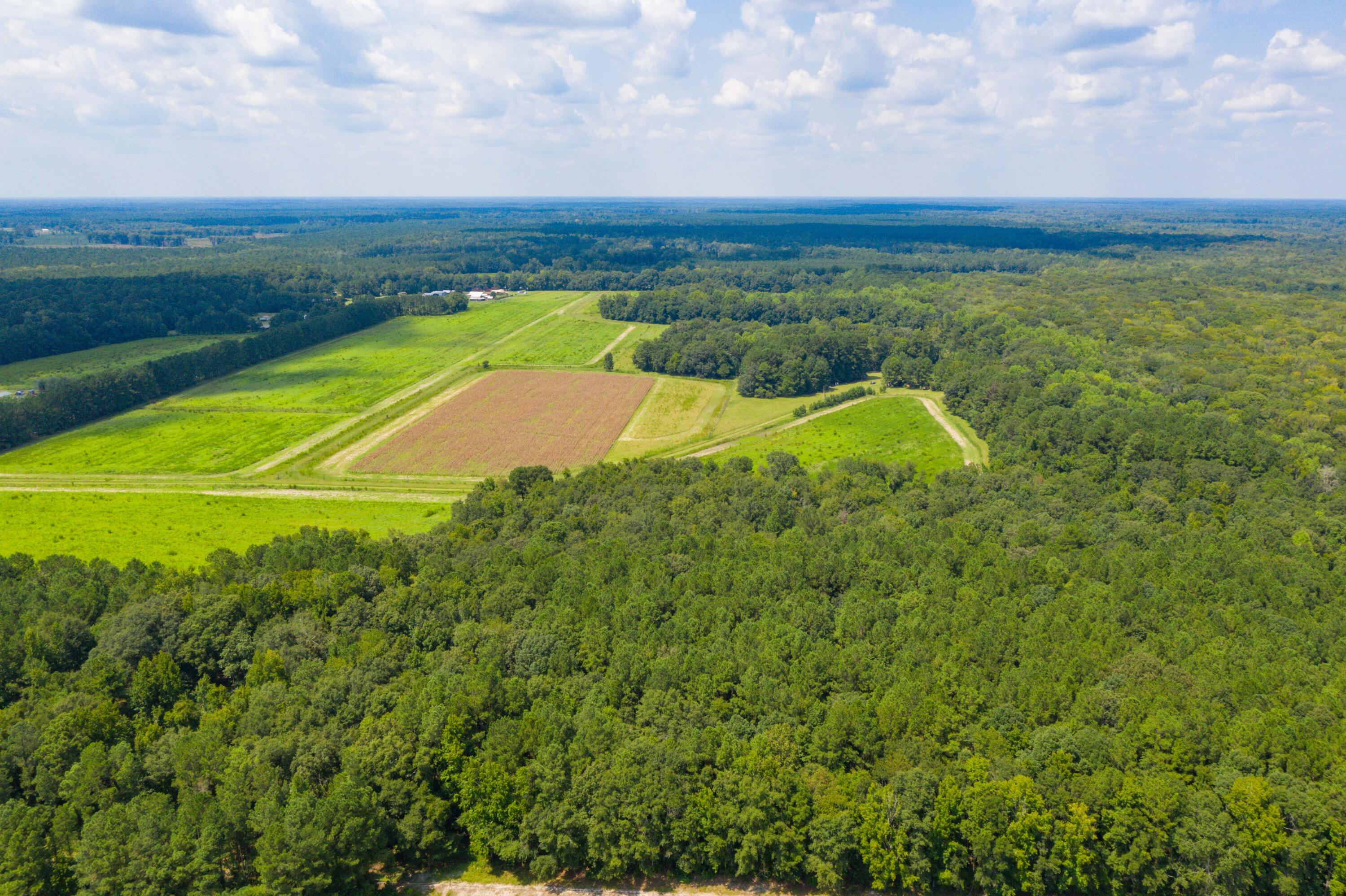 0 Adnah Church Road Islandton, SC 29929 - Photo 4 of 17 DJI_0781