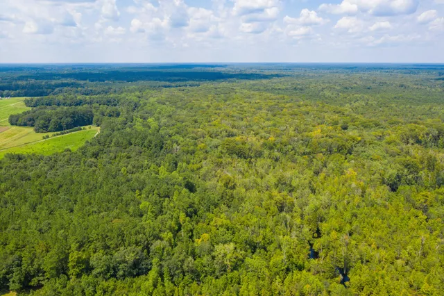 $100,000 | 0 Adnah Church Road, Islandton, SC 29929