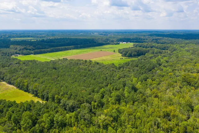 $100,000 | 0 Adnah Church Road, Islandton, SC 29929