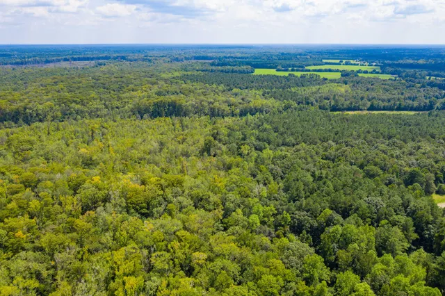 $100,000 | 0 Adnah Church Road, Islandton, SC 29929