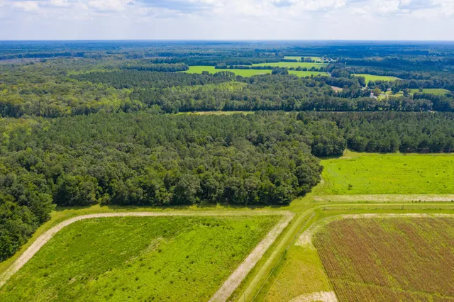 $100,000 | 0 Adnah Church Road, Islandton, SC 29929