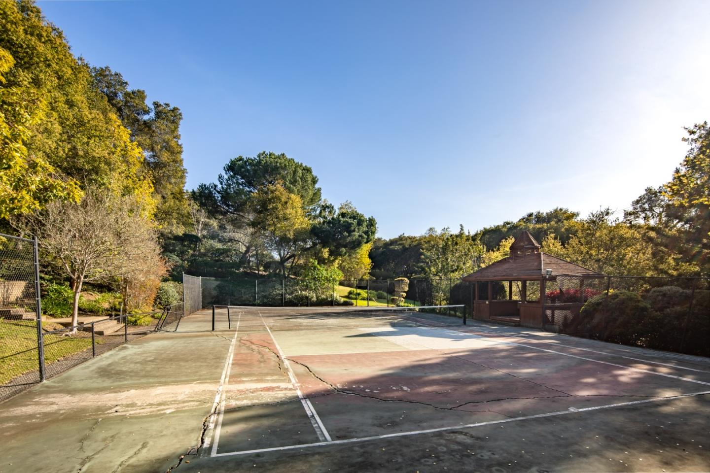 97 Ridge View Drive Atherton, CA 94027 - Photo 43 of 43 a view of a yard with plants and large trees
