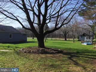 1573 Reed Road Pennington, NJ 08534 - Photo 2 of 6 Gallery Image 2