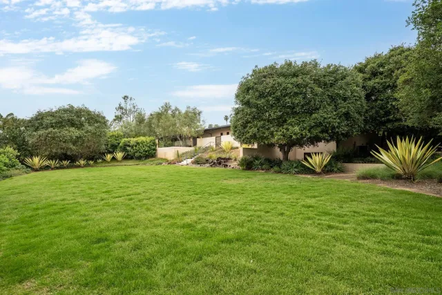 an outdoor space with green field and trees