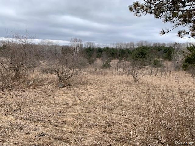 0 Pointer Road West Branch, MI 48661 - Photo 3 of 11