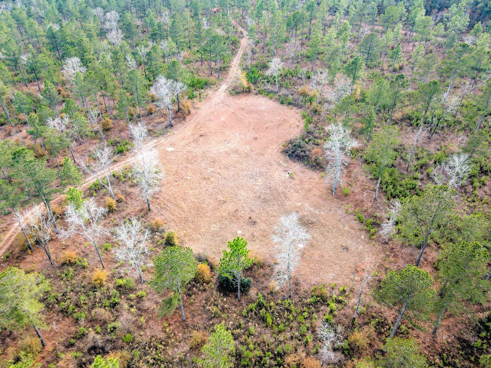0 Deer Run Road, Unit B Williston, SC 29853 - Photo 9 of 19 Gallery Image 9