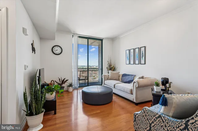 a living room with furniture potted plant and window