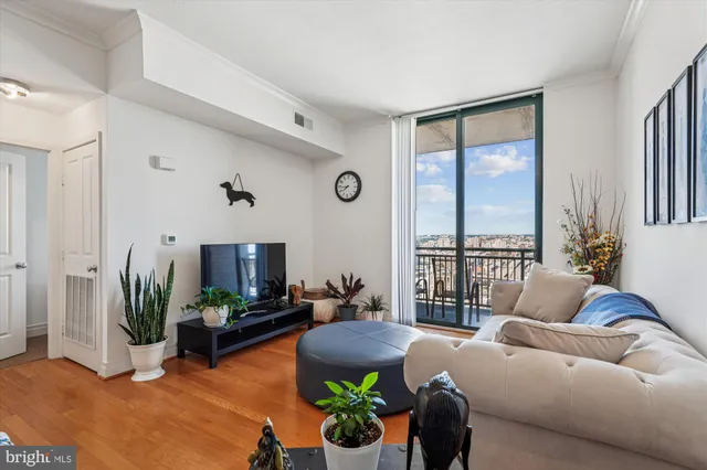 a living room with furniture potted plant and a large window