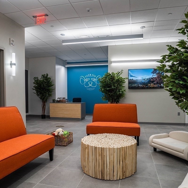 240 Devonshire Street, Unit 3701 Boston, MA 02110 - Photo 34 of 40 a living room with furniture and a potted plant