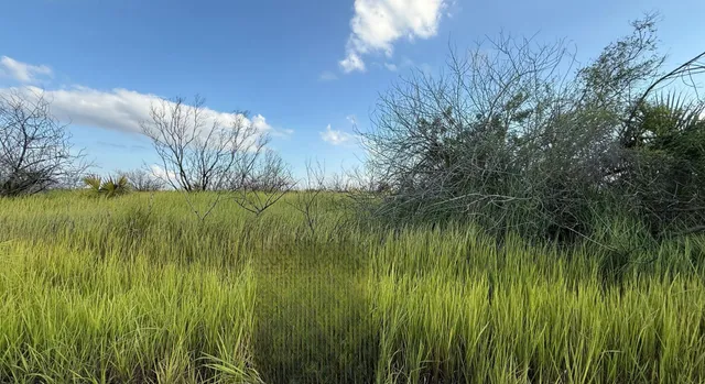 a view of a lake in between the bunch of plants and trees