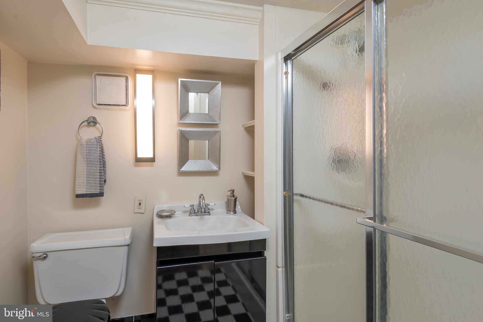 311 E Street Northeast Washington, DC 20002 - Photo 32 of 41 Lower level bath