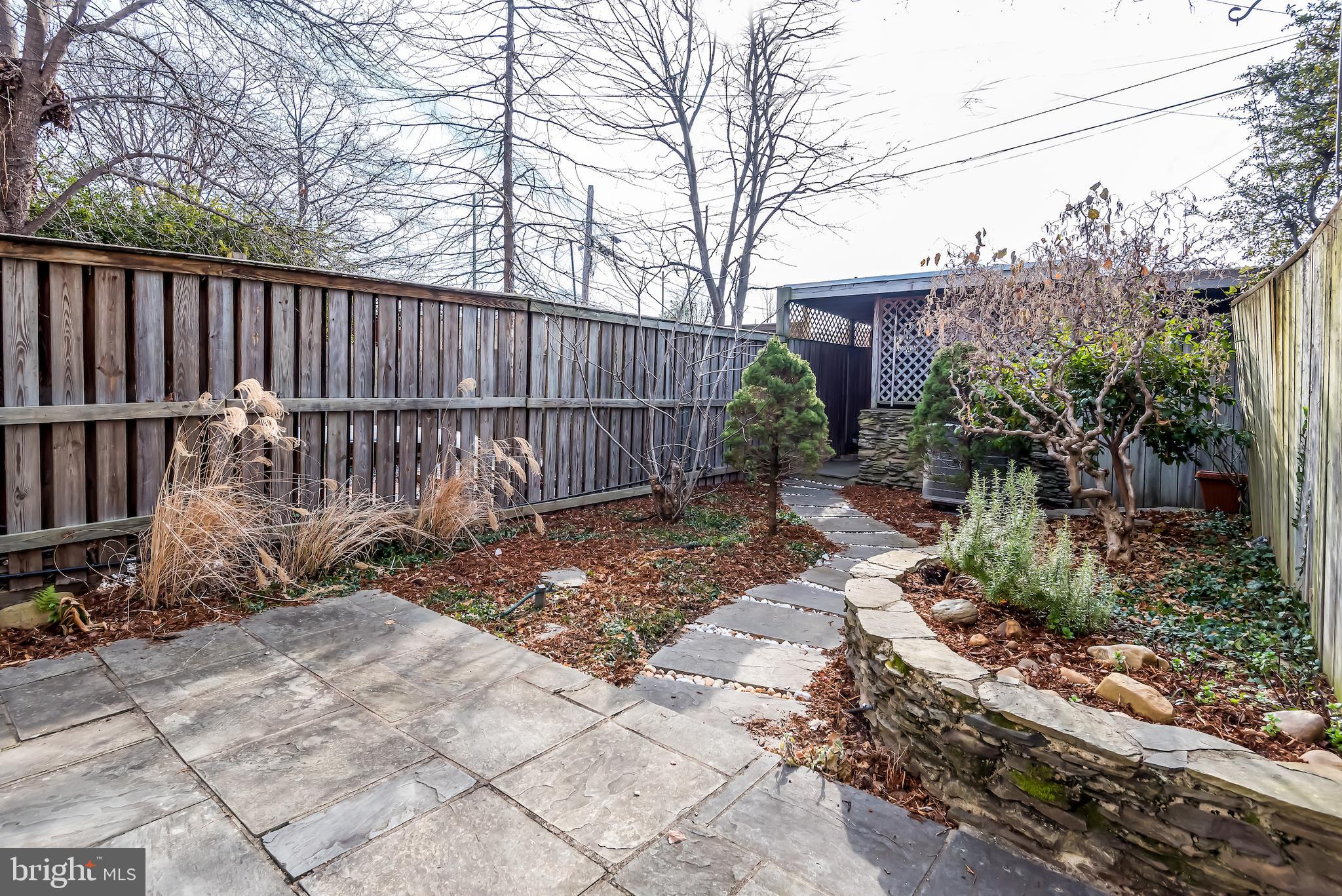 311 E Street Northeast Washington, DC 20002 - Photo 34 of 41 Rear Yard