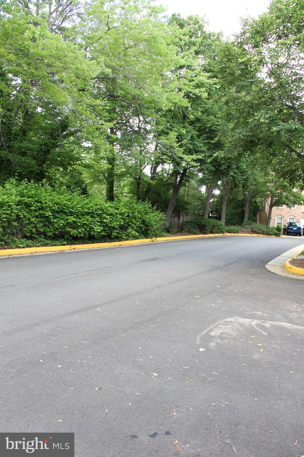 6526 Milva Lane Springfield, VA 22150 - Photo 3 of 30 Super Lot! Very Private in the Front and Back!