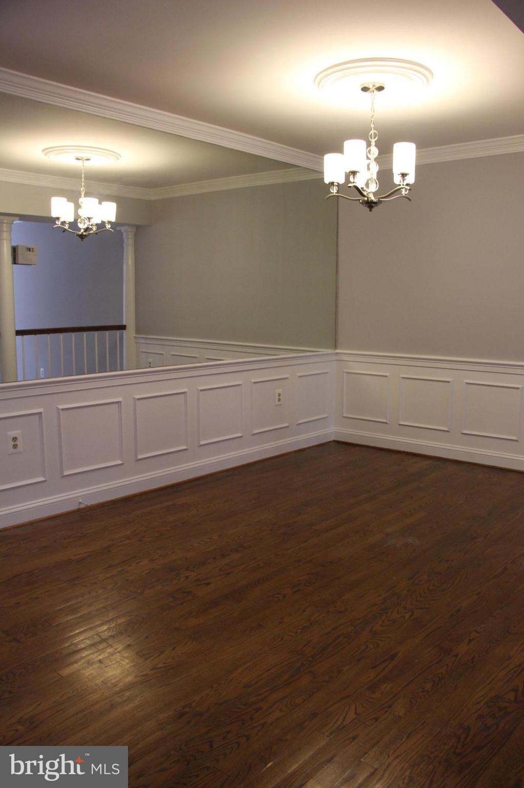 6526 Milva Lane Springfield, VA 22150 - Photo 4 of 30 Embassy Sized Dining room! New Lights!