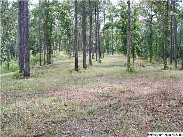 Meadow Lake, Unit 2A Calera, AL 35040 - Photo 4 of 9