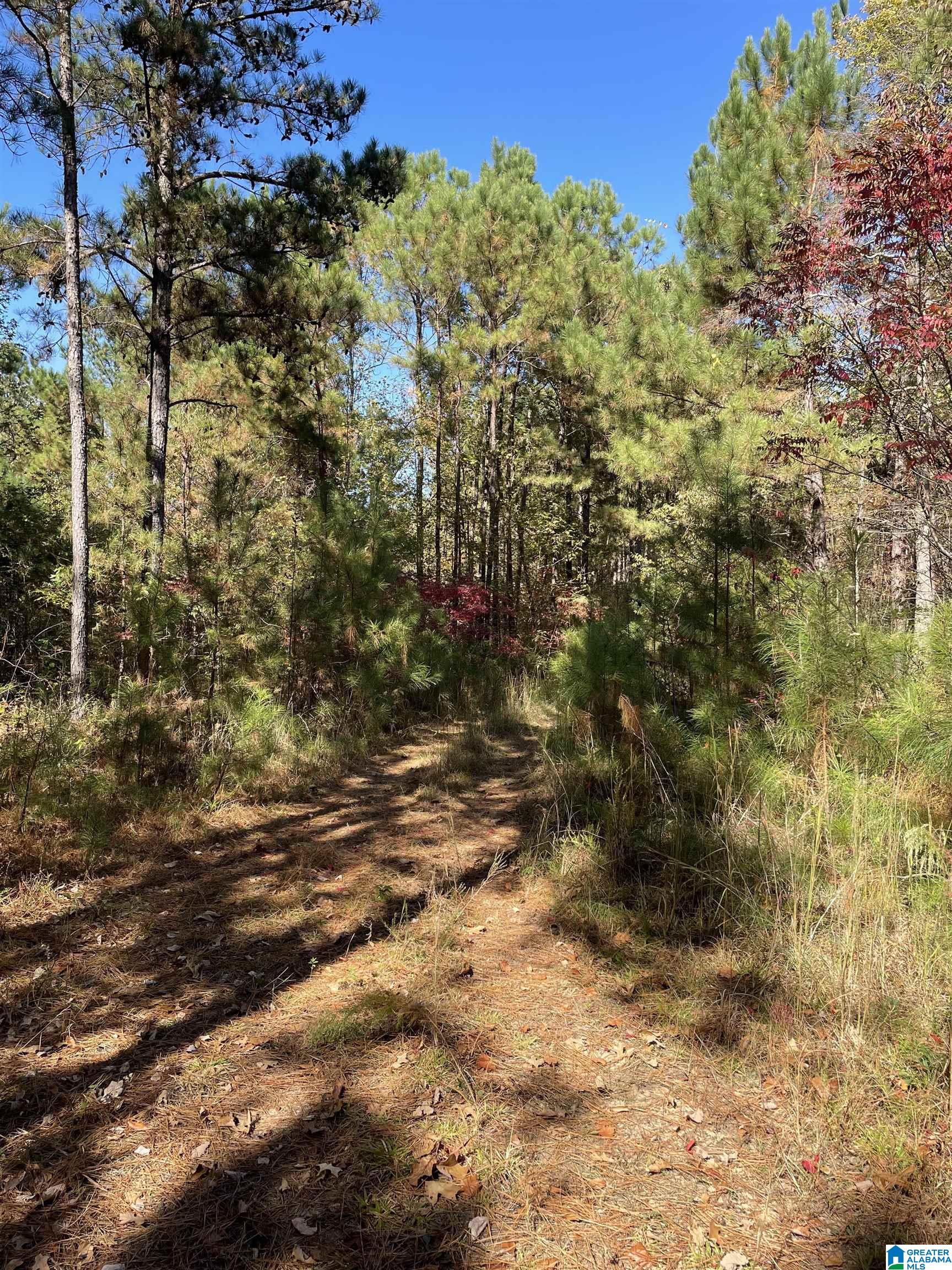 8760 Marsh Mountain Road, Unit 223 Pinson, AL 35126 - Photo 44 of 51