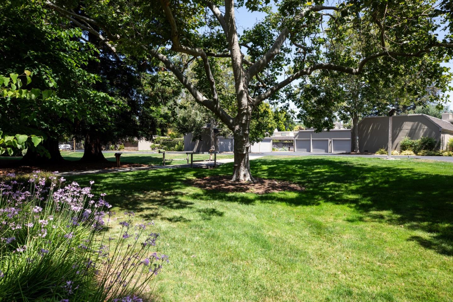 10 Farm Road Los Altos, CA 94024 - Photo 26 of 31 a view of a backyard with a garden