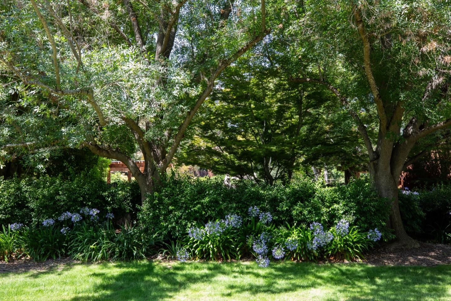 10 Farm Road Los Altos, CA 94024 - Photo 29 of 31 a view of a lush green forest