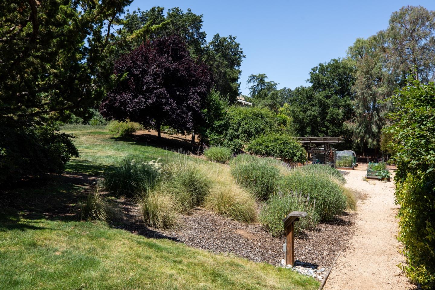 10 Farm Road Los Altos, CA 94024 - Photo 30 of 31 a backyard of a house with lots of green space
