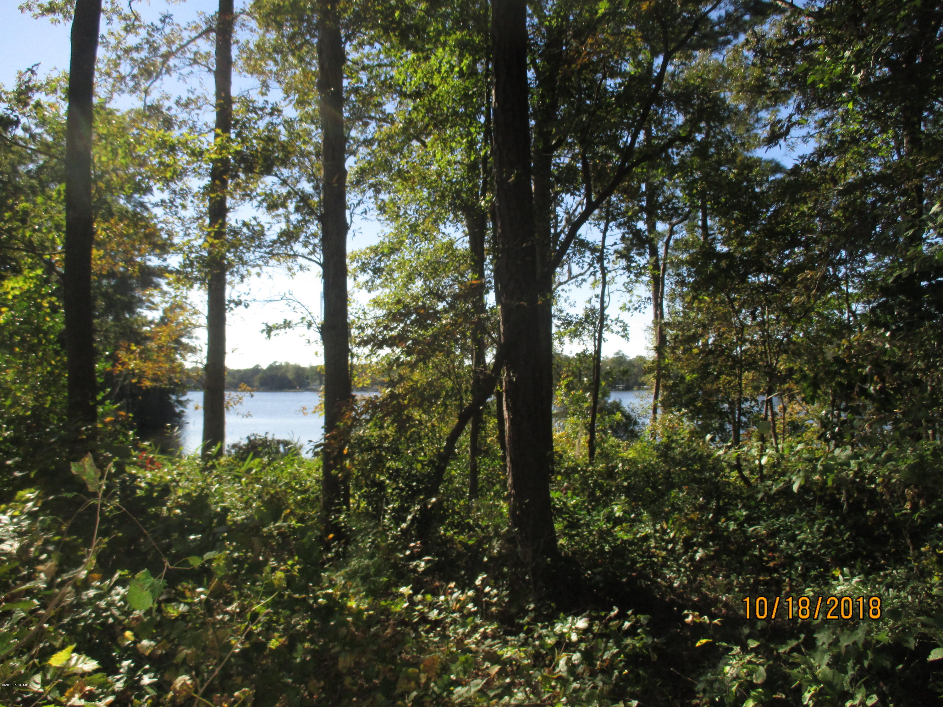 932 Post Road Bath, NC 27808 - Photo 15 of 30 LESLIE WILSON BATH CREEK 035