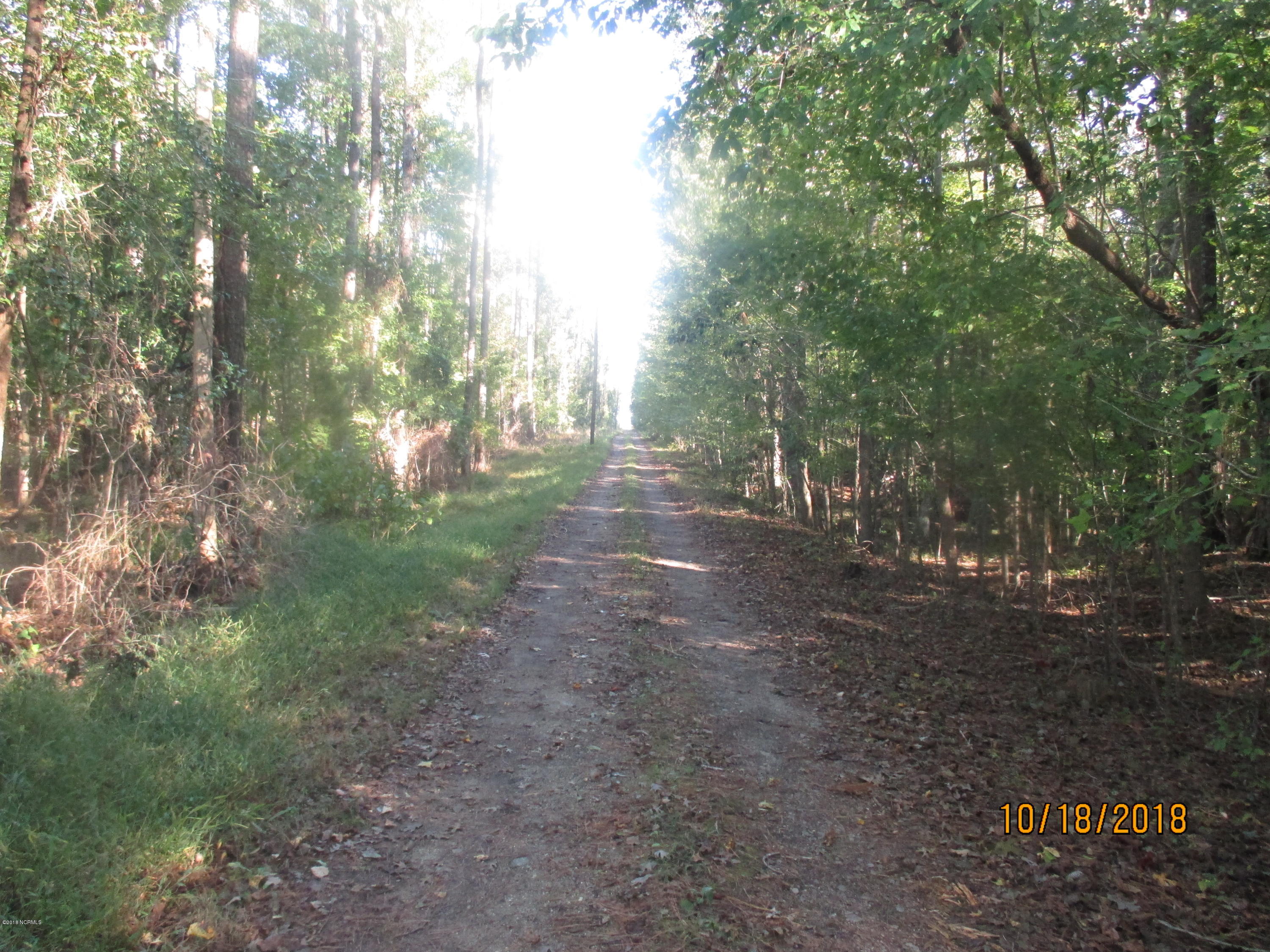 932 Post Road Bath, NC 27808 - Photo 20 of 30 LESLIE WILSON BATH CREEK 049