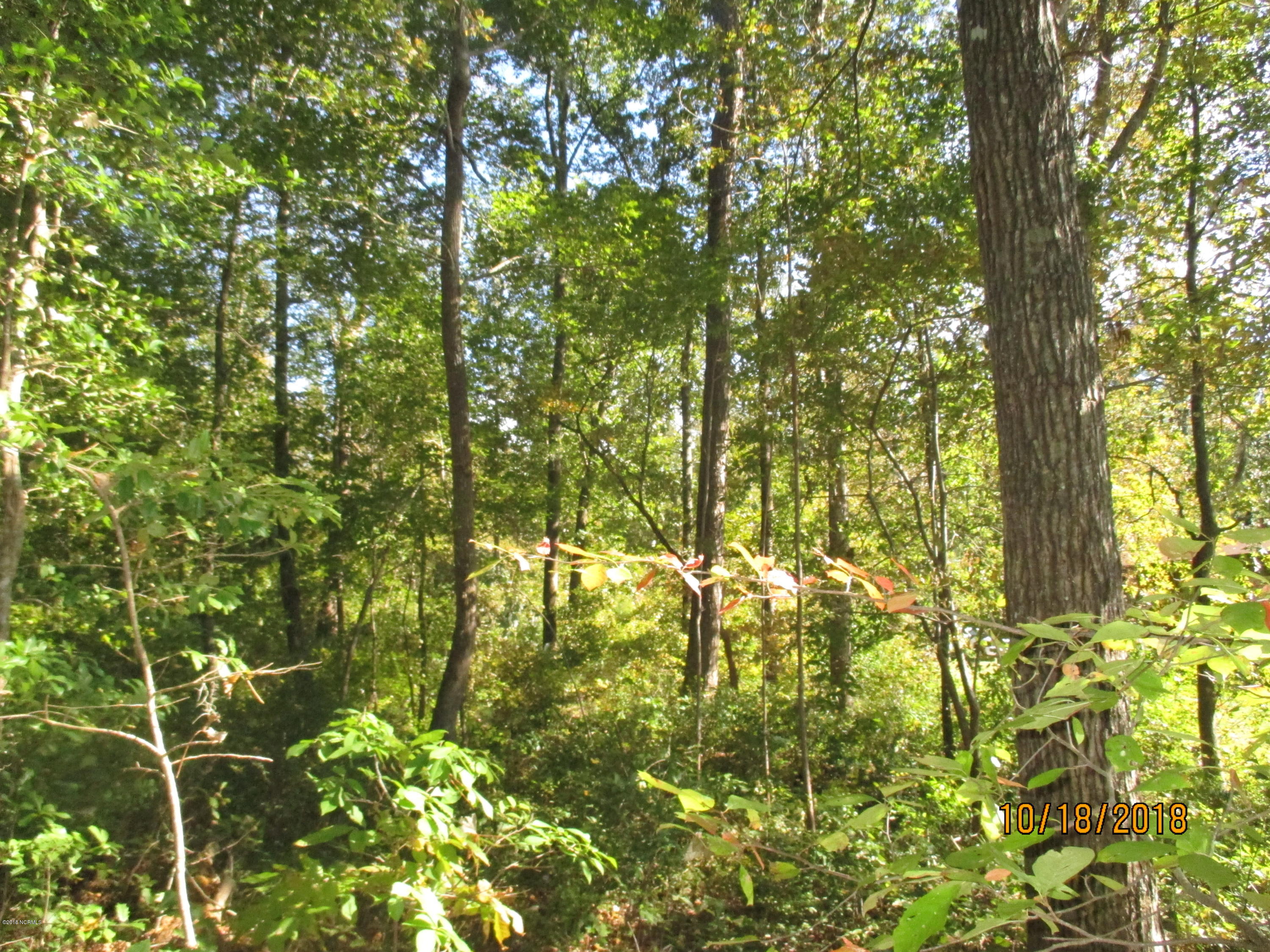 932 Post Road Bath, NC 27808 - Photo 24 of 30 LESLIE WILSON BATH CREEK 033
