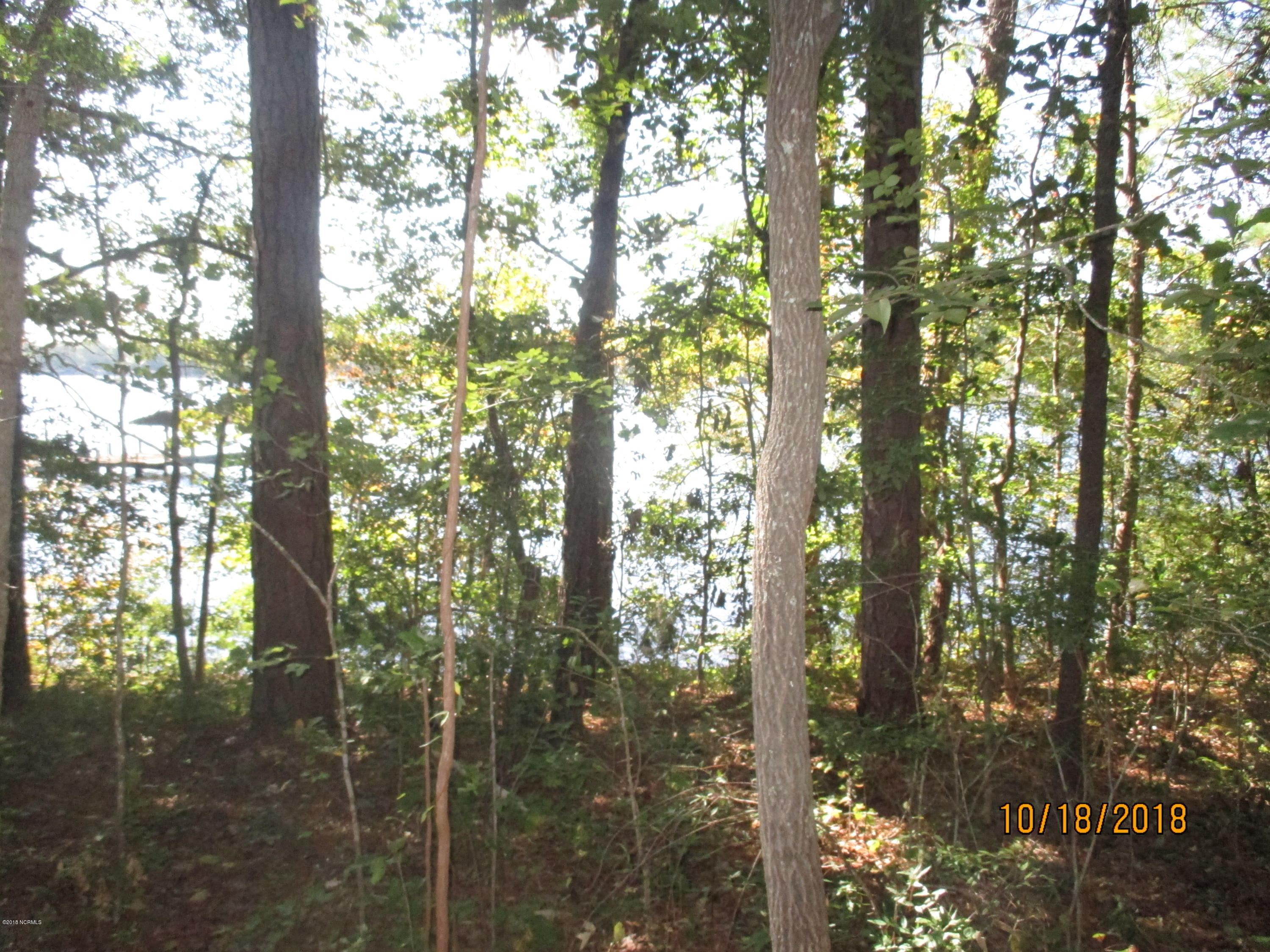 932 Post Road Bath, NC 27808 - Photo 29 of 30 LESLIE WILSON BATH CREEK 032