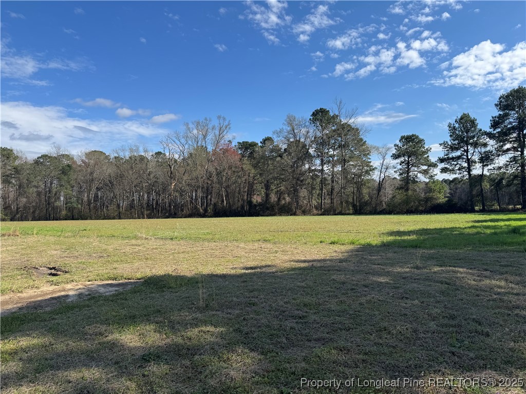 280 Cain Road St. Pauls, NC 28384 - Photo 6 of 23 a view of an outdoor space and yard
