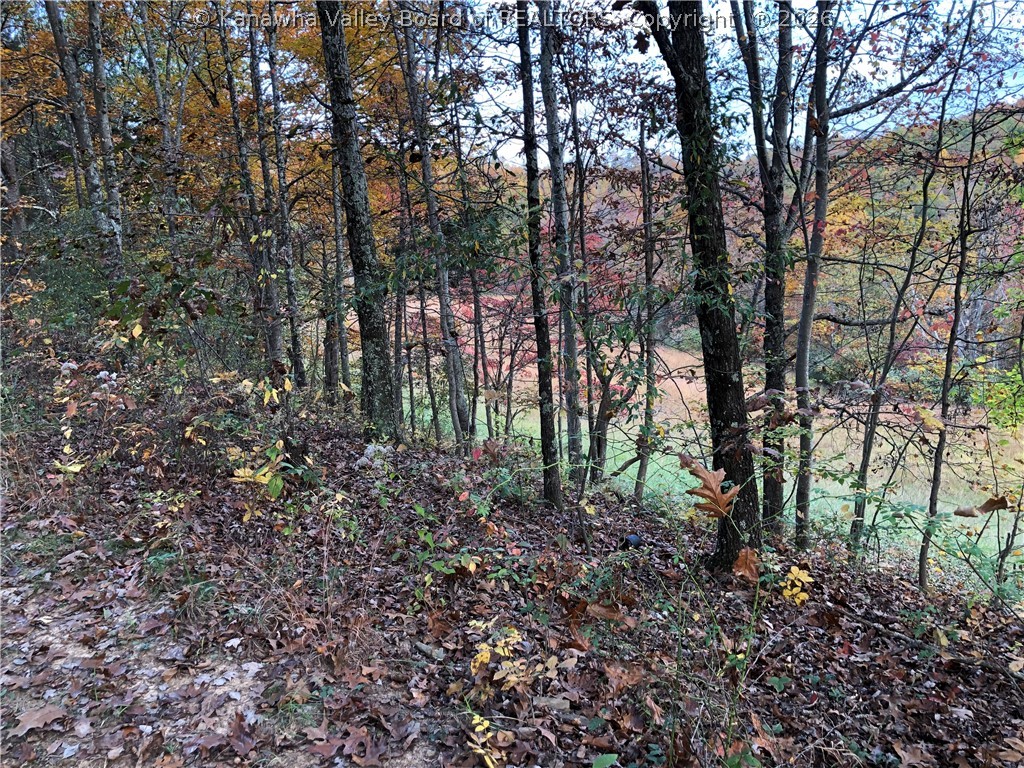 32-3 Long Hollow Road Letart, WV 25253 - Photo 9 of 19 Gallery Image 9
