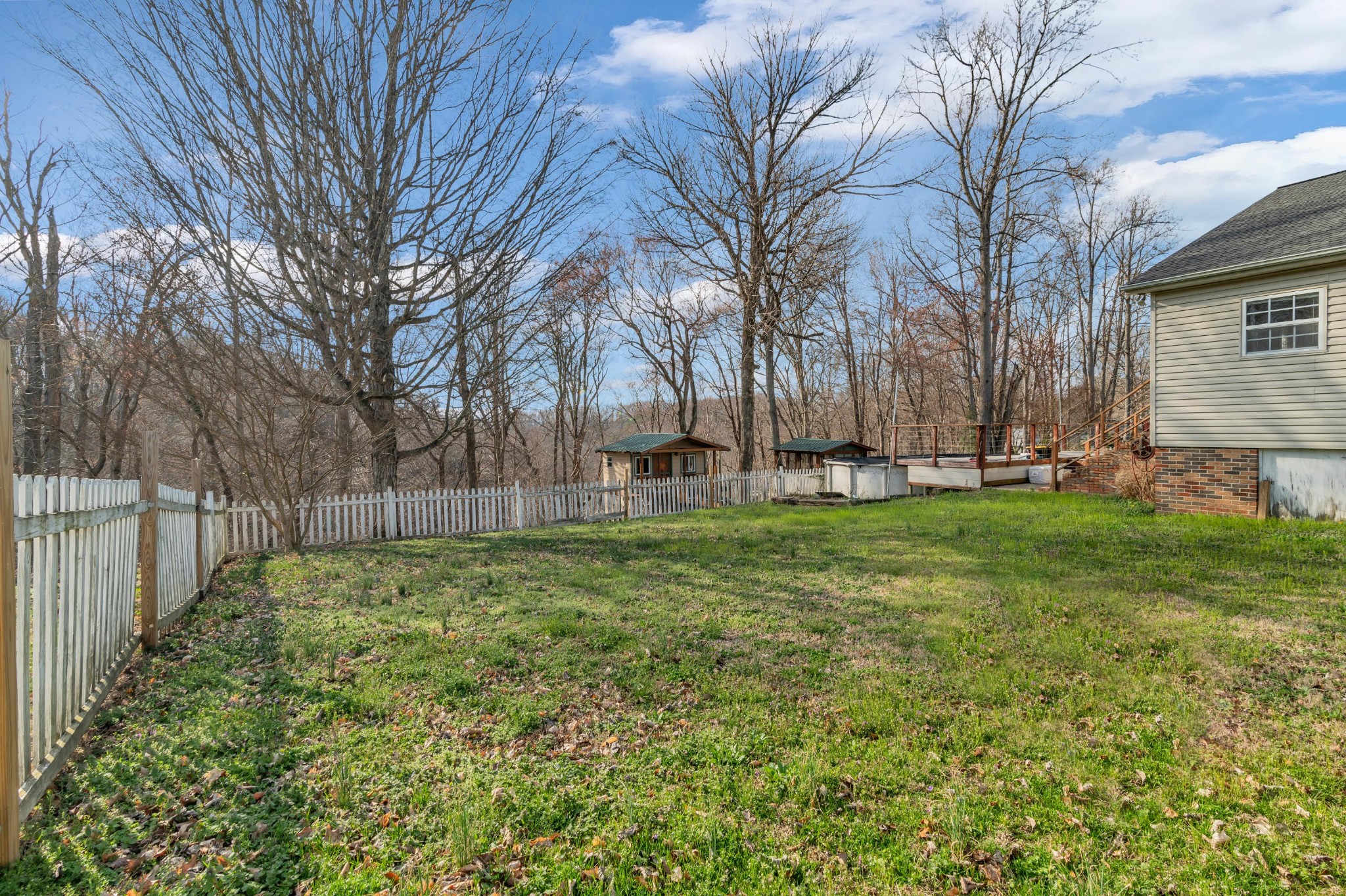 672 Old Snow Hill Road Dowelltown, TN 37059 - Photo 45 of 54 a backyard of a house with lots of green space