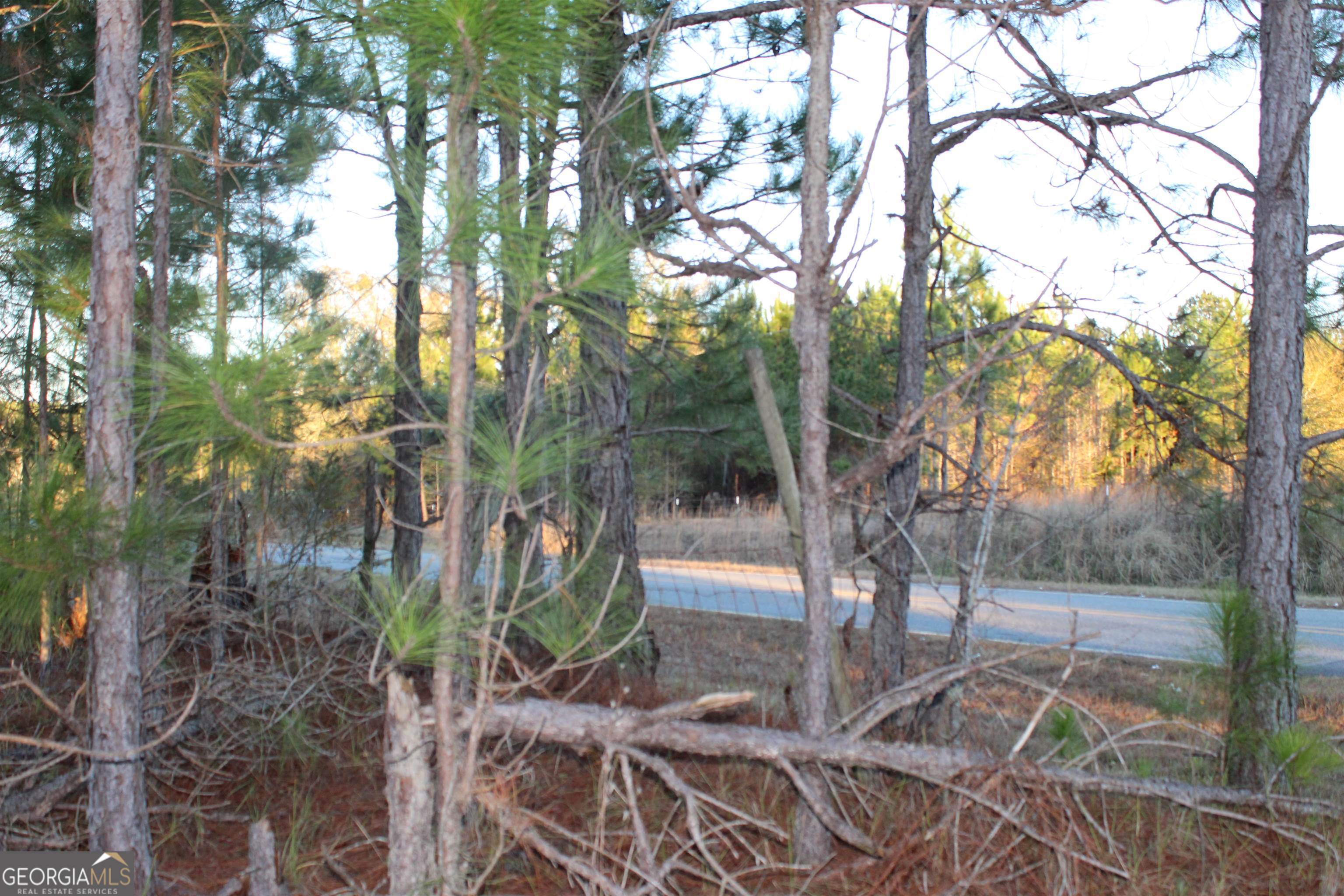 0 Telfair Co Line Road Rhine, GA 31077 - Photo 1 of 1 Gallery Image 1
