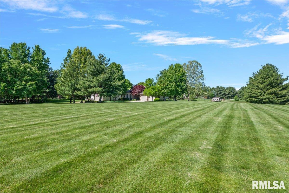 5635 Wagon Ford Road Chatham, IL 62629 - Photo 46 of 65